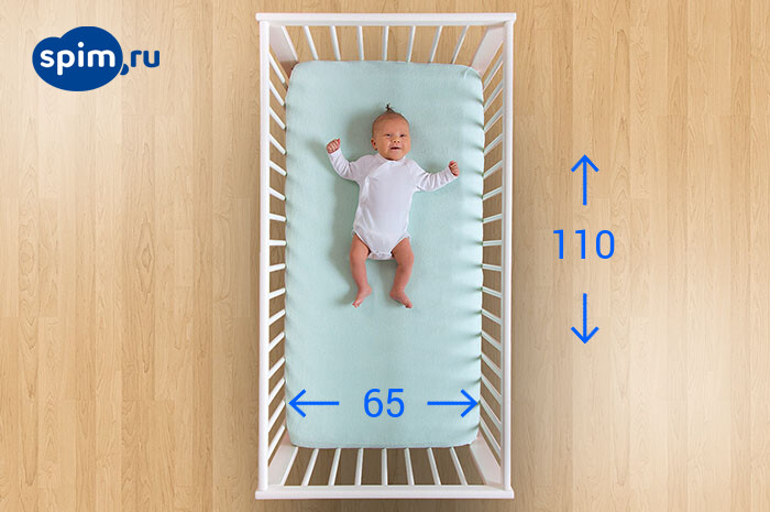 ������� Vegas 65�110 ��